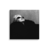 canvas-in-16x16-wall-6a8d6d1402f0f.png Hush