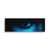 canvas-in-16x48-wall-6a8d6e215d274.png Blue Monday