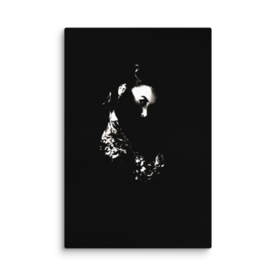 canvas-in-24x36-wall-6a8d70d1b6183.png Enigma