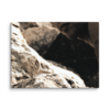 canvas-in-9x12-wall-6a8d7657f1bdf.png Petra