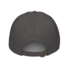 organic-baseball-cap-charcoal-back-6aa3cab57a625.png Isho
