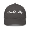 organic-baseball-cap-charcoal-front-6aa3cab57a5f4.png Isho