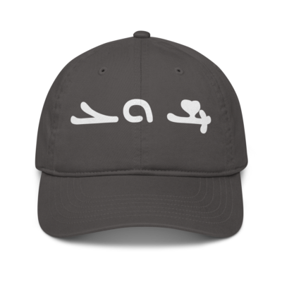 organic-baseball-cap-charcoal-front-6aa3cab57a5f4.png Isho