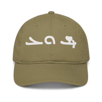 organic-baseball-cap-jungle-front-6aa3cab57a717.png Isho